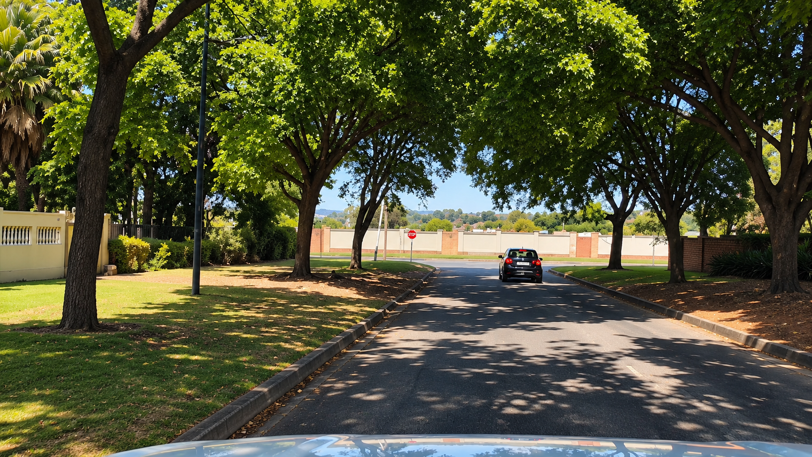 A dark car far ahead at the end of a tree-lined suburban road